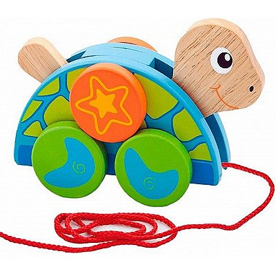 Bērnu rotaļlietu koka bruņurupucis Viga